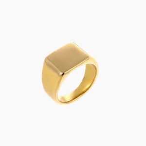 Minimal Signet Ring | Custom Premium Metal Alloy Ring - Engravely